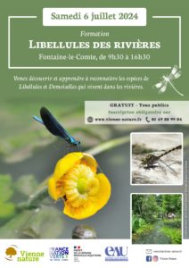 Libellules des rivières - Formation 2/3 @ Fontaine-le-Comte