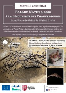 Balade Natura 2000 à la découverte des Chauves-souris @ Saint-Pierre-de-Maillé