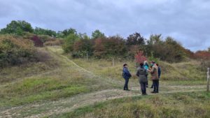 Chantier nature dans la Vallée des Buis @ Buxerolles