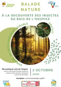 Balade nature à la découverte des insectes du Bois de l'Hospice @ Saulgé